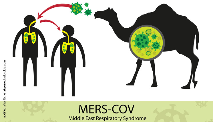 Middle East Respiratory Syndrome MERS