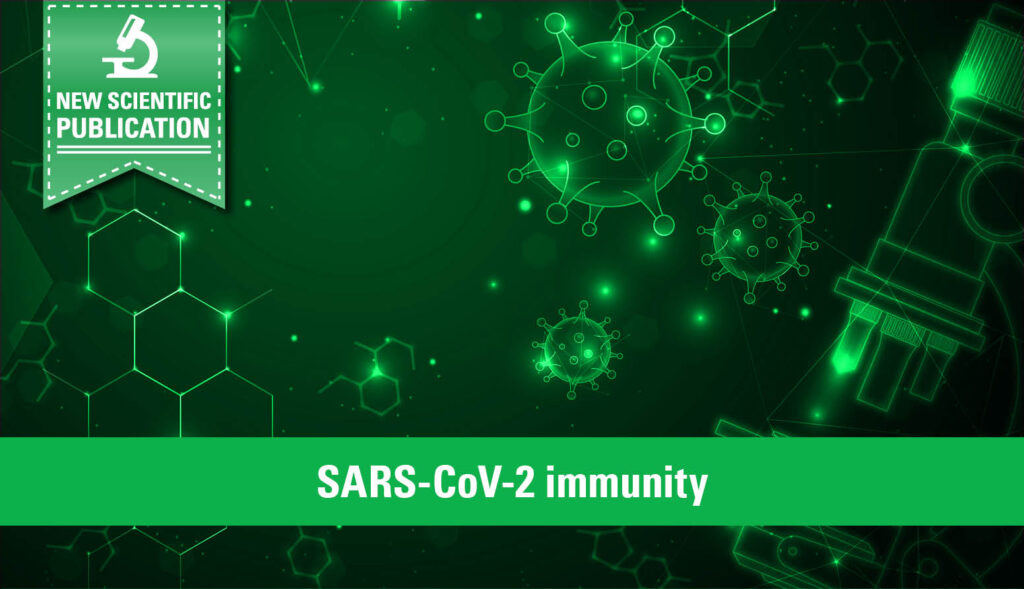 Omicron-induced T- and B-cell immunity in vaccinated and naïve individuals