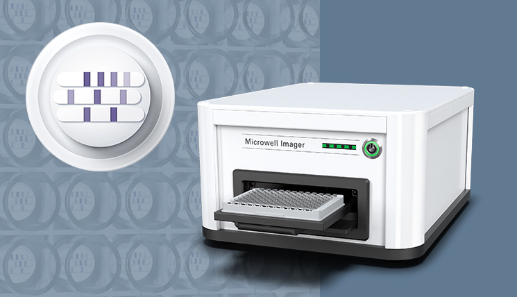 Our solutions for maximum blot efficiency!